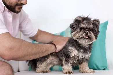 Colours Of Mykonos Luxury Residences & 4*